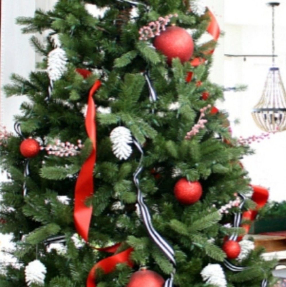 Meet your Posher, Carla